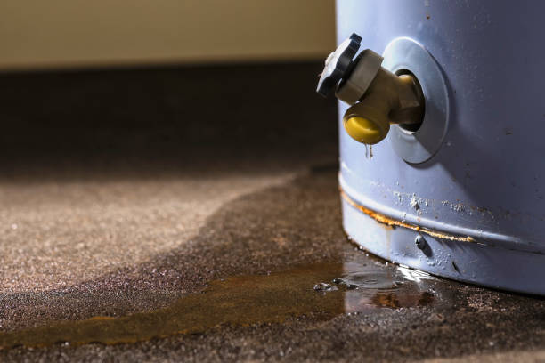 Best Water damage cleanup near me  in Tulare, CA