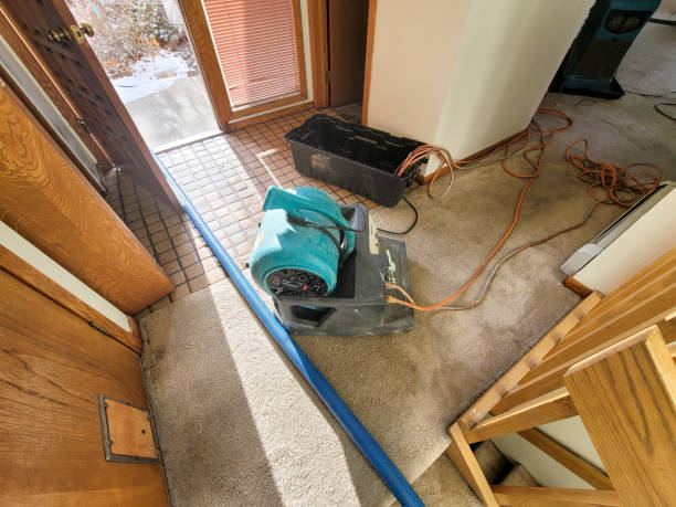 Water damage restoration insurance claims in Tulare, CA