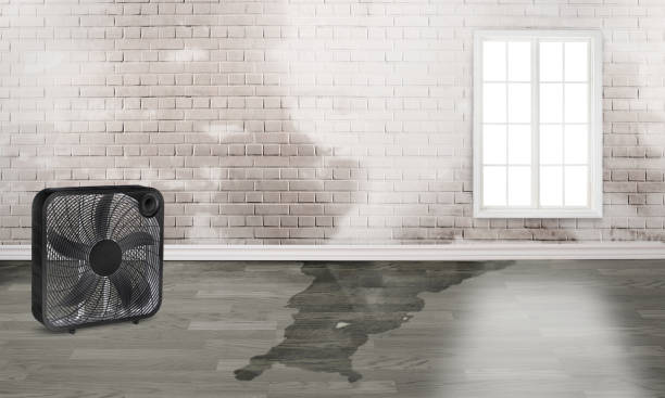 Best Fire Damage Restoration  in Tulare, CA