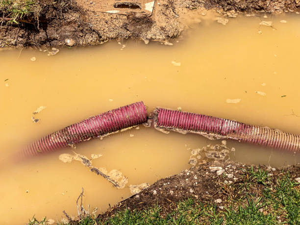 Best Water damage contractors near me  in Tulare, CA