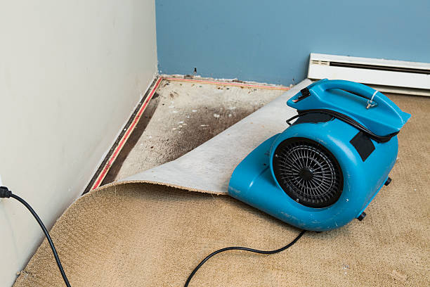 Water damage restoration mold remediation in Tulare, CA